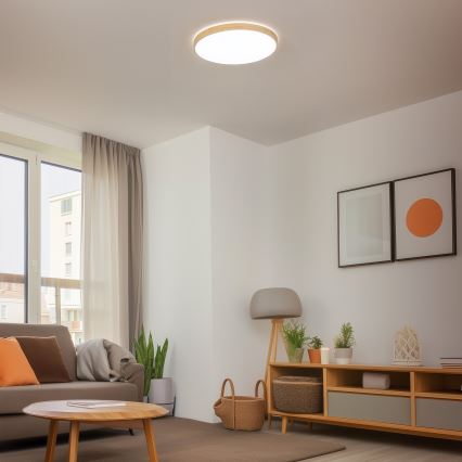 Brilagi - Dimeriu reguliuojamas LED lubinis šviestuvas PINE LED/60W/230V, mediena, skersmuo 52 cm, 3000-6500K + nuotolinis valdymas