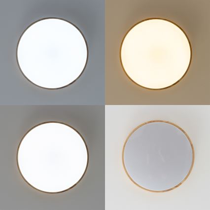 Brilagi - Dimeriu reguliuojamas LED lubinis šviestuvas PINE LED/60W/230V, mediena, skersmuo 52 cm, 3000-6500K + nuotolinis valdymas