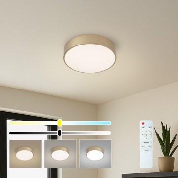 BRILAGI - reguliuojamas LED lubų šviestuvas POOL LED/24W/230V 3000-6000K skersmuo 20 cm auksinis + nuotolinis valdymas