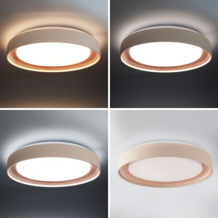 Brilagi - LED dimeriuojamas lubinis šviestuvas WALDO LED/48W/230V 3000–6500K Ø 40 cm smėlinis/auksinis + su nuotoliniu pulteliu