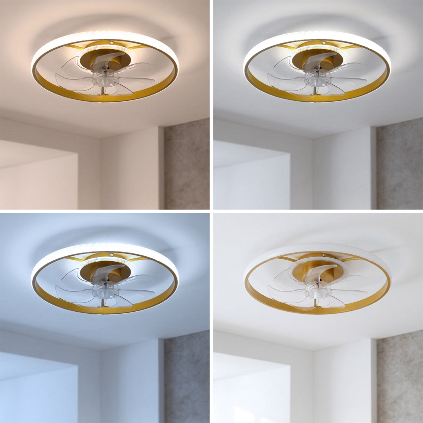 Brilagi - lubų ventiliatorius su reguliuojamu LED apšvietimu LED/66W/230V 3000-6500K skersmuo 55 cm balta/auksinė + nuotolinis valdymas