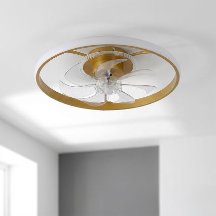 Brilagi - lubų ventiliatorius su reguliuojamu LED apšvietimu LED/66W/230V 3000-6500K skersmuo 55 cm balta/auksinė + nuotolinis valdymas