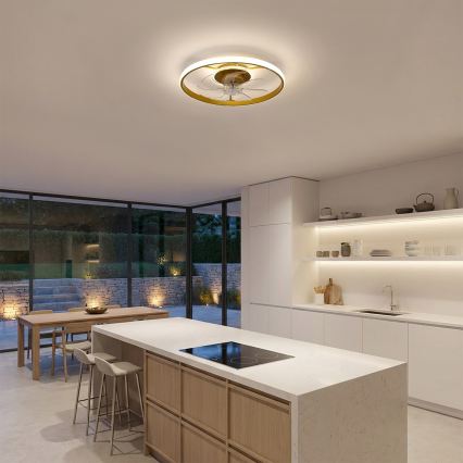 Brilagi - lubų ventiliatorius su reguliuojamu LED apšvietimu LED/66W/230V 3000-6500K skersmuo 55 cm balta/auksinė + nuotolinis valdymas