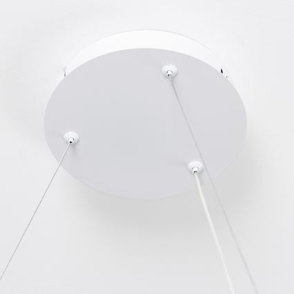 Brilagi - reguliuojamas pakabinamas LED šviestuvas ant laido FALCON SLIM LED/42W/230V 3000-6500K, skersmuo 50 cm, baltas + nuotolinis valdymas