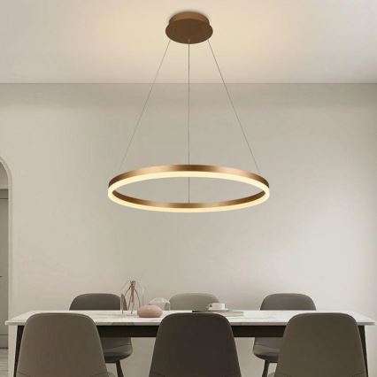 Brilagi - LED dimeriuojamas pakabinamas šviestuvas ant laido CIRCLE LED/42W/230V 3000-6500K Ø 60 cm + nuotolinis valdymas
