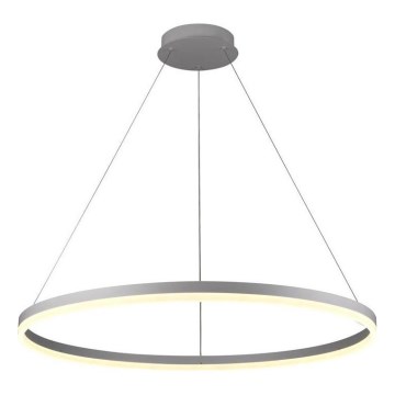 Brilagi - reguliuojamas LED pakabinamas šviestuvas ant laido CIRCLE LED/55W/230V 3000-6500K skersmuo 80 cm sidabrinis + nuotolinis valdymas