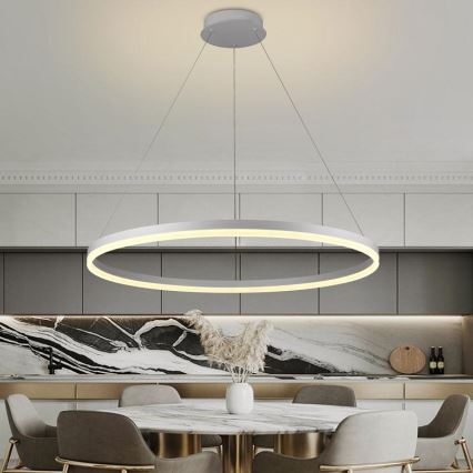 Brilagi - LED reguliuojama liustra ant laido CIRCLE LED/55W/230V 3000-6500K + su nuotoliniu pulteliu