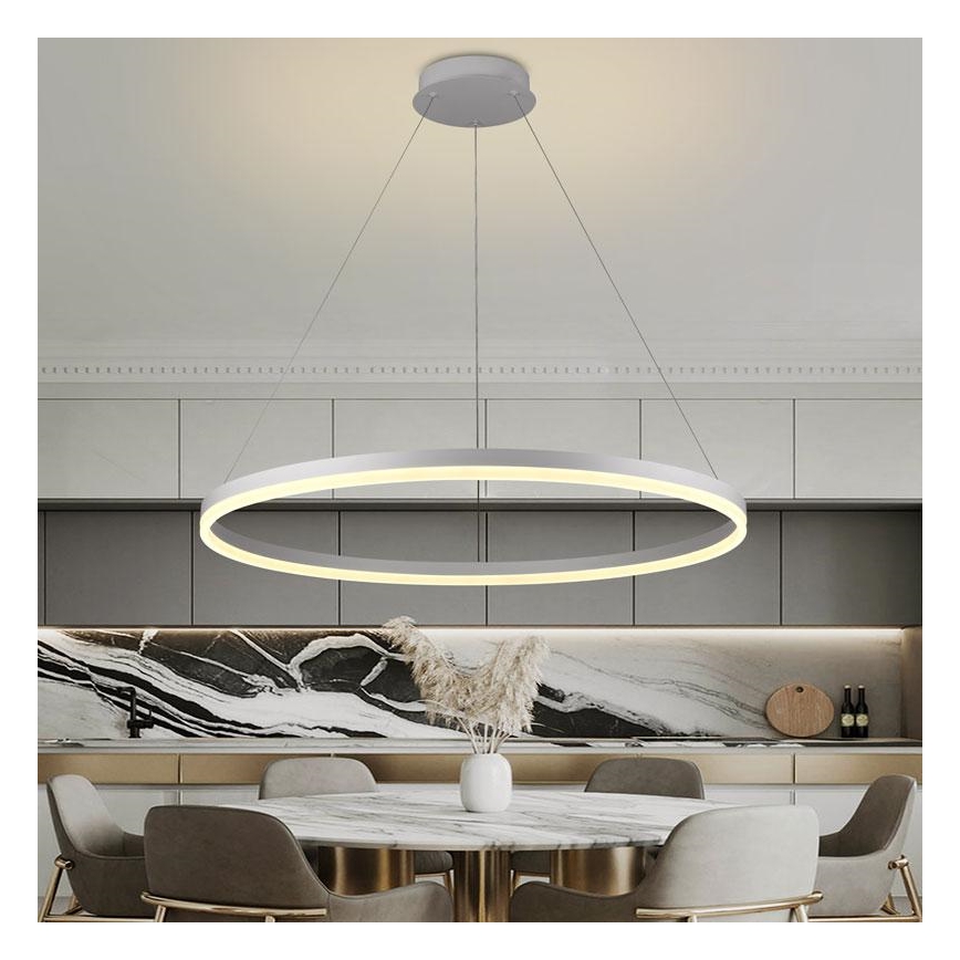 Brilagi - LED reguliuojama liustra ant laido CIRCLE LED/55W/230V 3000-6500K + su nuotoliniu pulteliu