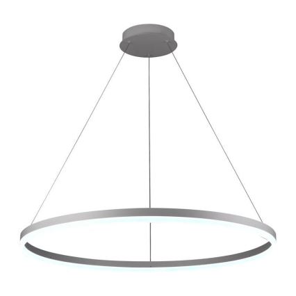 Brilagi - LED reguliuojama liustra ant laido CIRCLE LED/55W/230V 3000-6500K + su nuotoliniu pulteliu
