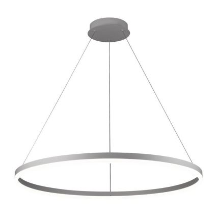 Brilagi - LED reguliuojama liustra ant laido CIRCLE LED/55W/230V 3000-6500K + su nuotoliniu pulteliu