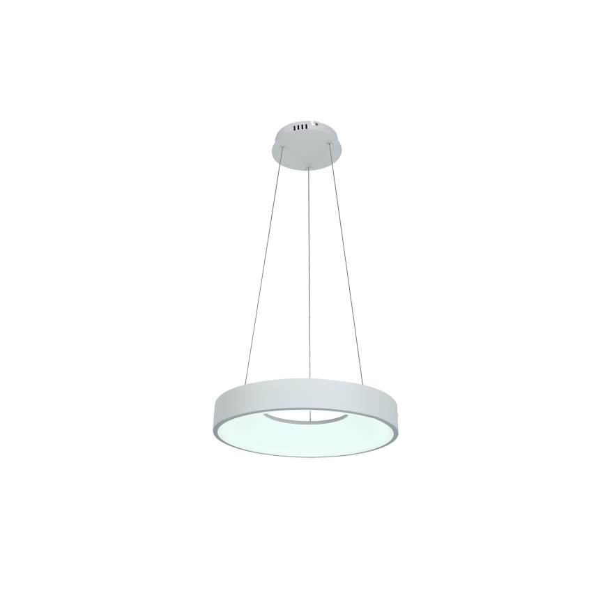 Brilagi - LED dimeriuojama liustra ant kabelio FALCON II LED/67W/230V 3000-6500K skersmuo 40 cm balta + su nuotoliniu pulteliu