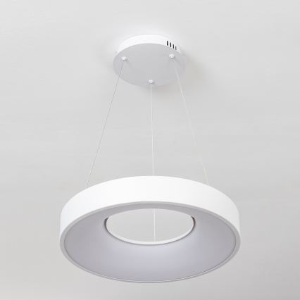 Brilagi - dimeriuojamas pakabinamas šviestuvas ant troselio FALCON II LED/67W/230V 3000-6500K skersmuo 40 cm baltas + nuotolinio valdymo pultas