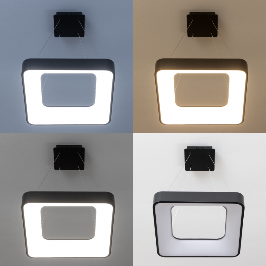 Brilagi - Dimeriuojamas LED pakabinamas šviestuvas ant kabelio FALCON II LED/80W/230V 3000-6500K 40x40 cm juodas + nuotolinis valdymas