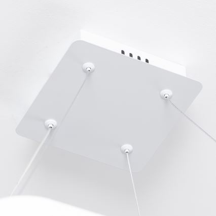 Brilagi - dimeriuojama pakabinama LED liustra ant laido FALCON SLIM LED/50W/230V 3000-6500K 50x50 cm balta + nuotolinis valdymas