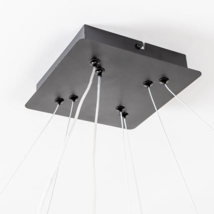 Brilagi - LED dimeriuojamas pakabinamas šviestuvas ant laido FALCON SLIM LED/78W/230V 3000-6500K 50x50 cm juodas + nuotolinis valdymas