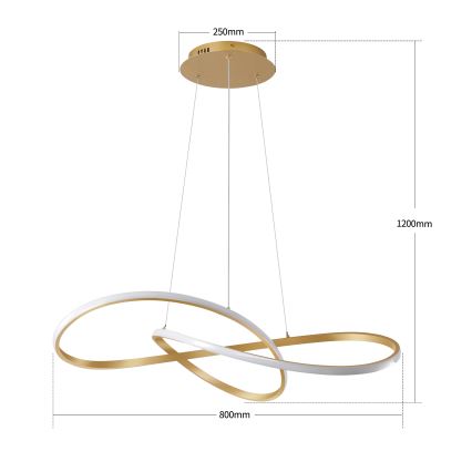 Brilagi - INFINITY LED reguliuojamo ryškumo liustra ant troselio LED/80W/230V 3000-6000K 80x80 cm auksinė + nuotolinis valdymas