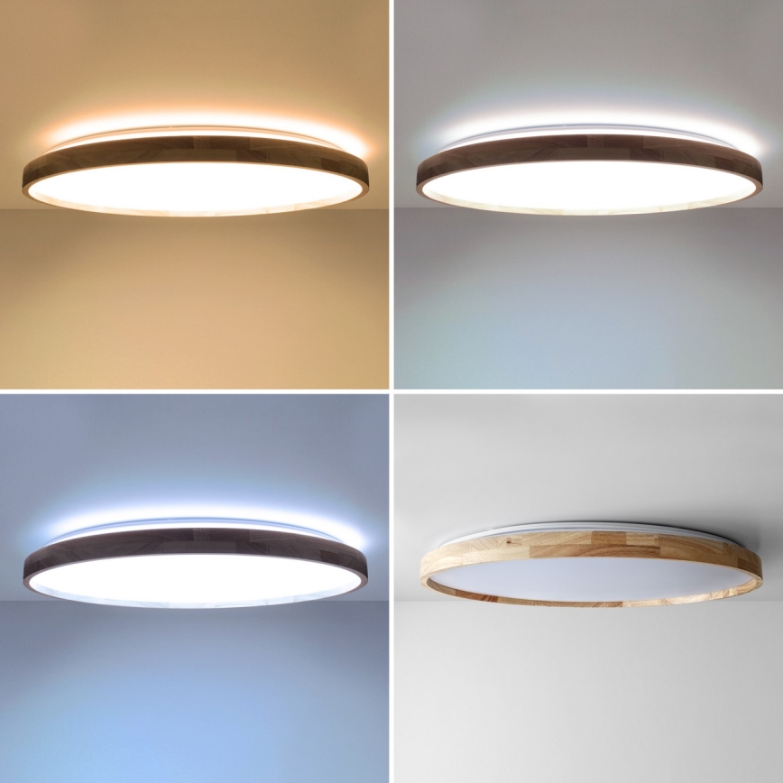 Brilagi - LED dimeriuojamas lubinis šviestuvas ALSON LED/72W/230V 3000-6500K ąžuolas, skersmuo 78 cm + nuotolinis valdymas