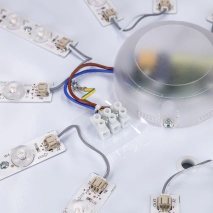 Brilagi - LED dimeriuojamas lubinis šviestuvas ALSON LED/72W/230V 3000-6500K ąžuolas, skersmuo 78 cm + nuotolinis valdymas