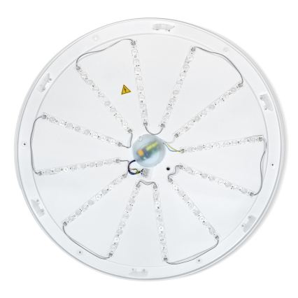 Brilagi - LED dimeriuojamas lubinis šviestuvas ALSON LED/72W/230V 3000-6500K ąžuolas, skersmuo 78 cm + nuotolinis valdymas