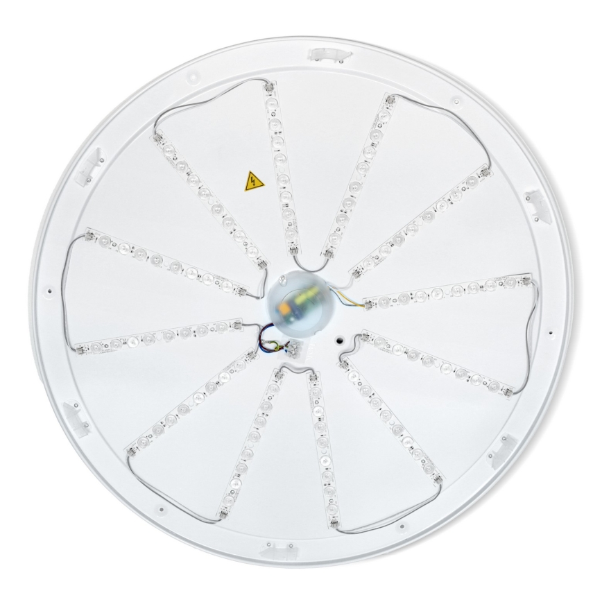 Brilagi - LED dimeriuojamas lubinis šviestuvas ALSON LED/72W/230V 3000-6500K ąžuolas, skersmuo 78 cm + nuotolinis valdymas
