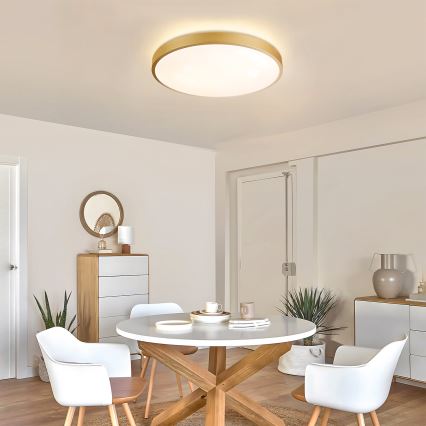 Brilagi - dimeriuojamas LED lubų šviestuvas GLASS POOL DOUBLE LED/60W/230V 3000-6000K 50 cm auksinis + nuotolinis valdymas