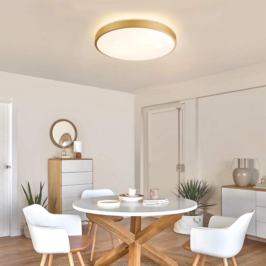 Brilagi - dimeriuojamas LED lubų šviestuvas GLASS POOL DOUBLE LED/60W/230V 3000-6000K 50 cm auksinis + nuotolinis valdymas