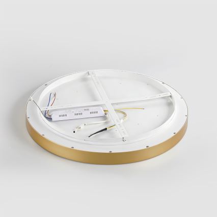 Brilagi - dimeriuojamas LED lubų šviestuvas GLASS POOL DOUBLE LED/60W/230V 3000-6000K 50 cm auksinis + nuotolinis valdymas