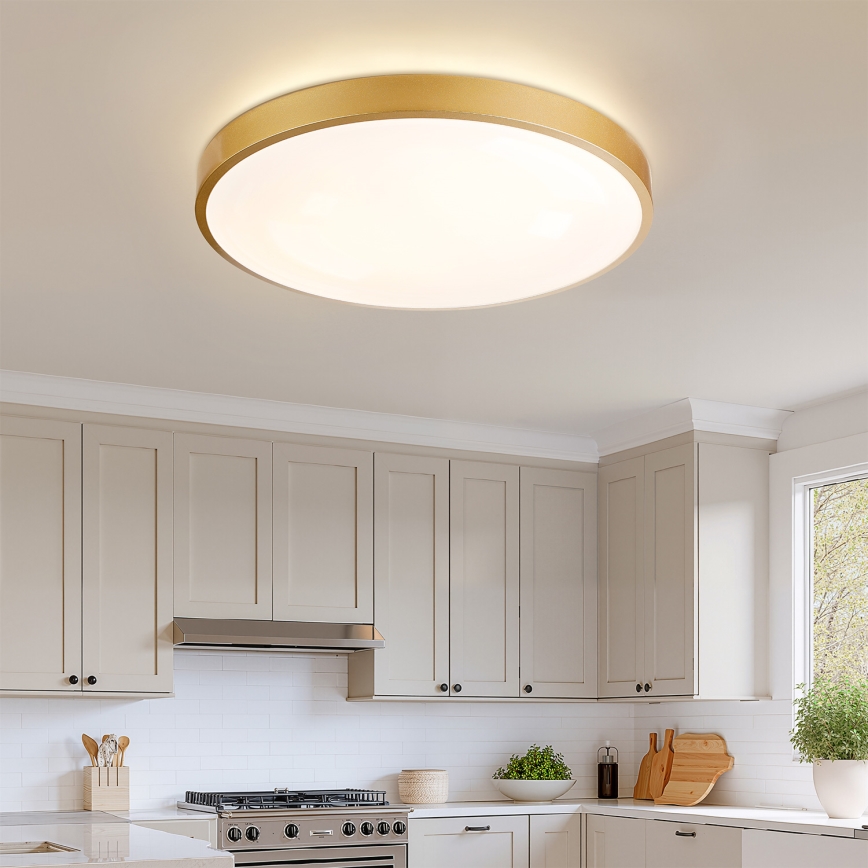 Brilagi - LED reguliuojamas lubų šviestuvas GLASS POOL DOUBLE LED/80W/230V 3000-6000K 60 cm aukso spalva + nuotolinis valdymas