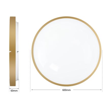 Brilagi - LED reguliuojamas lubų šviestuvas GLASS POOL DOUBLE LED/80W/230V 3000-6000K 60 cm aukso spalva + nuotolinis valdymas