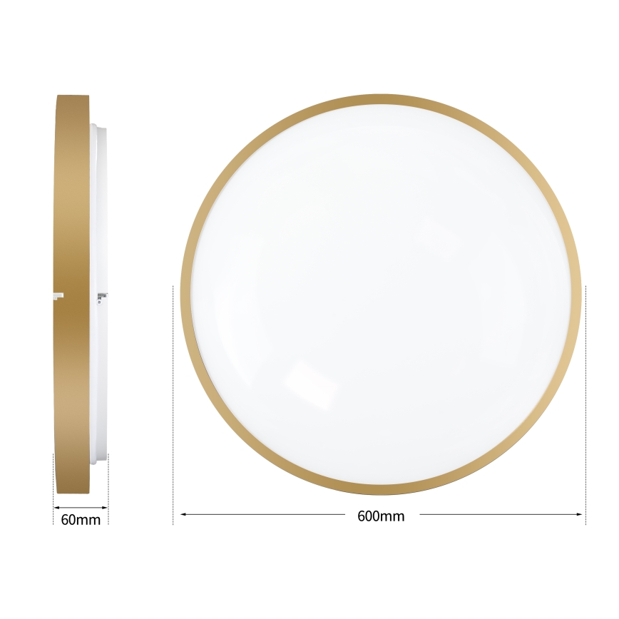 Brilagi - LED reguliuojamas lubų šviestuvas GLASS POOL DOUBLE LED/80W/230V 3000-6000K 60 cm aukso spalva + nuotolinis valdymas