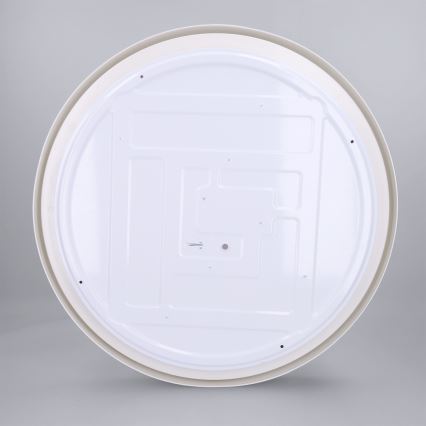 Brilagi - Dimeriuojamas LED lubų šviestuvas MATTEO LED/60W/230V 3000-6500K skersmuo 51,5 cm taupe + nuotolinis valdymas