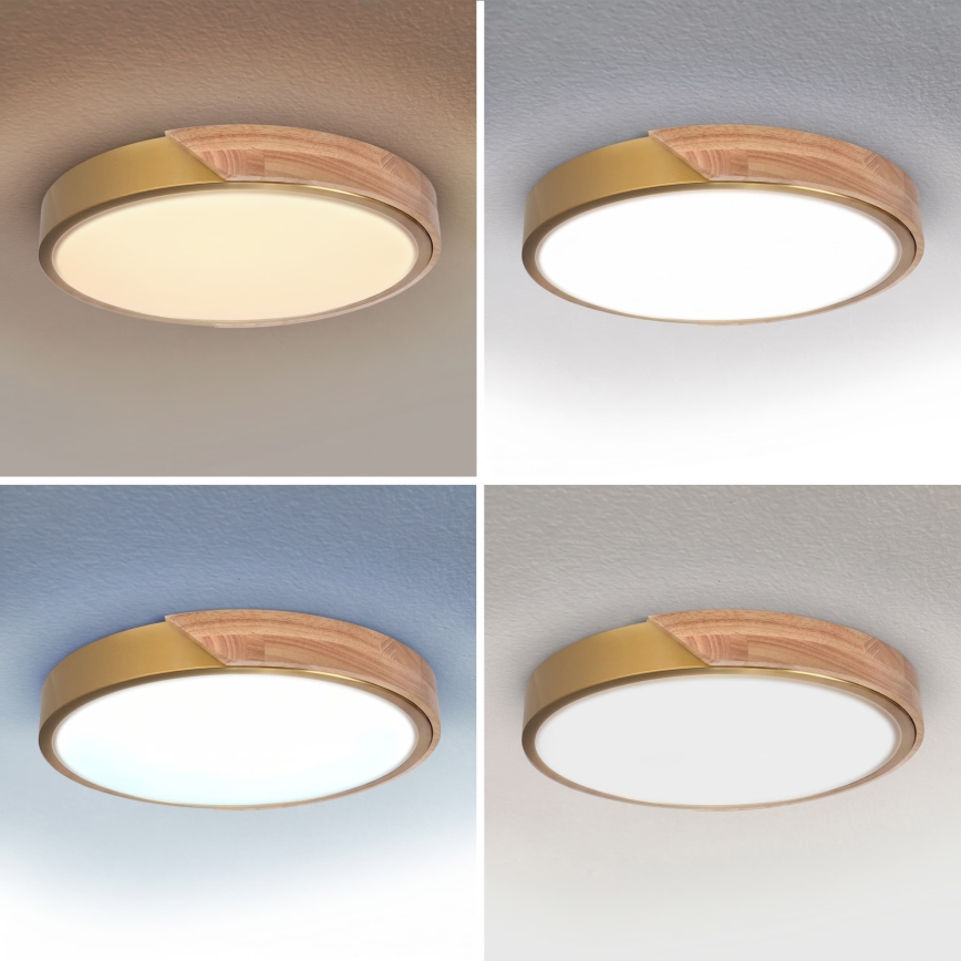 BRILAGI - LED reguliuojamas lubų šviestuvas PILANA LED/48W/230V 3000-6500K ąžuolas/auksinė, skersmuo 40 cm + su nuotoliniu valdymu