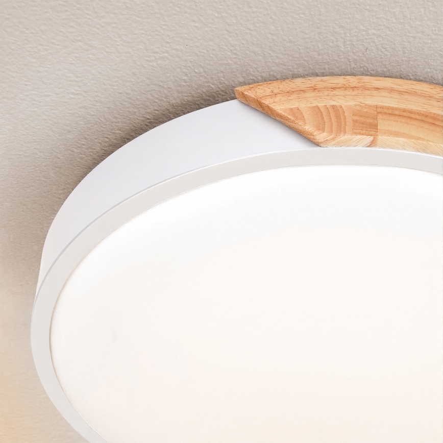 Brilagi - dimeriuojamas LED lubinis šviestuvas PILANA LED/48W/230V ąžuolas/balta, skersmuo 40 cm + nuotolinio valdymo pultas