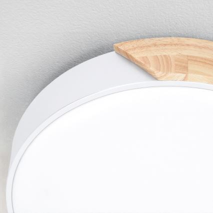 Brilagi - dimeriuojamas lubinis LED šviestuvas PILANA LED/60W/230V 3000–6500K ąžuolas/balta, skersmuo 60 cm + nuotolinis valdymas