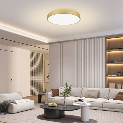 Brilagi - dimeriuojamas LED lubinis šviestuvas POOL SMART LED/100W/230V 3000-6000K 80 cm auksinės spalvos Wi-Fi Tuya + nuotolinis valdymas