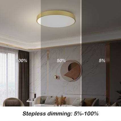 Brilagi - dimeriuojamas LED lubinis šviestuvas POOL SMART LED/100W/230V 3000-6000K 80 cm auksinės spalvos Wi-Fi Tuya + nuotolinis valdymas