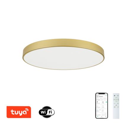 Brilagi - dimeriuojamas LED lubinis šviestuvas POOL SMART LED/100W/230V 3000-6000K 80 cm auksinės spalvos Wi-Fi Tuya + nuotolinis valdymas
