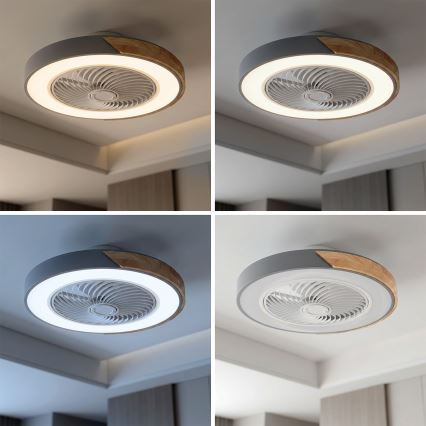 Brilagi - dimeriuojamas LED lubų šviestuvas su ventiliatoriumi LED/38W/230V 3000-6500K 3000-6500K skersmuo 50 cm pilka/ąžuolas + nuotolinis valdymas