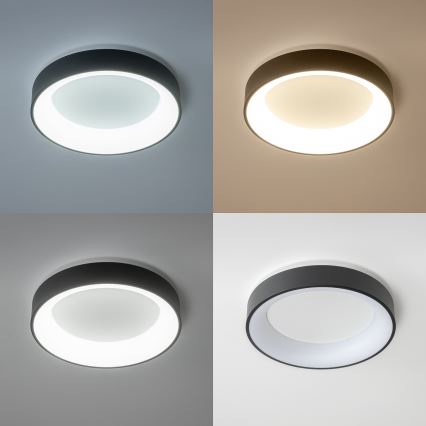 Brilagi - LED reguliuojamas lubinis šviestuvas FALCON LED/80W/230V 3000-6500K, skersmuo 60 cm, juodas + nuotolinio valdymo pultas