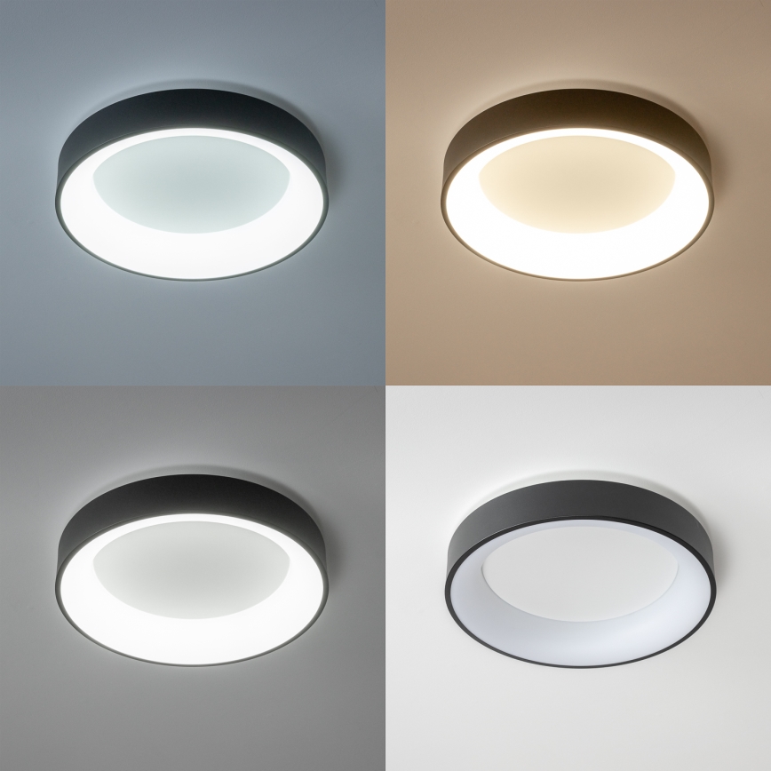 Brilagi - LED reguliuojamas lubinis šviestuvas FALCON LED/80W/230V 3000-6500K, skersmuo 60 cm, juodas + nuotolinio valdymo pultas