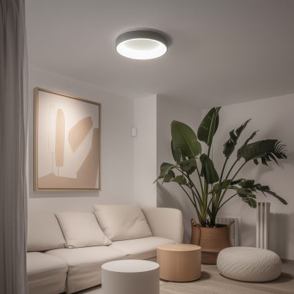 Brilagi - dimeriuojamas LED lubinis šviestuvas FALCON LED/40W/230V 3000-6500K skersmuo 45 cm pilkas + nuotolinis pultas