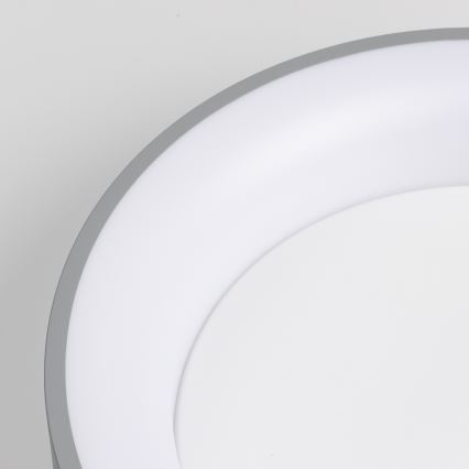 Brilagi - dimeriuojamas LED lubinis šviestuvas FALCON LED/40W/230V 3000-6500K skersmuo 45 cm pilkas + nuotolinis pultas