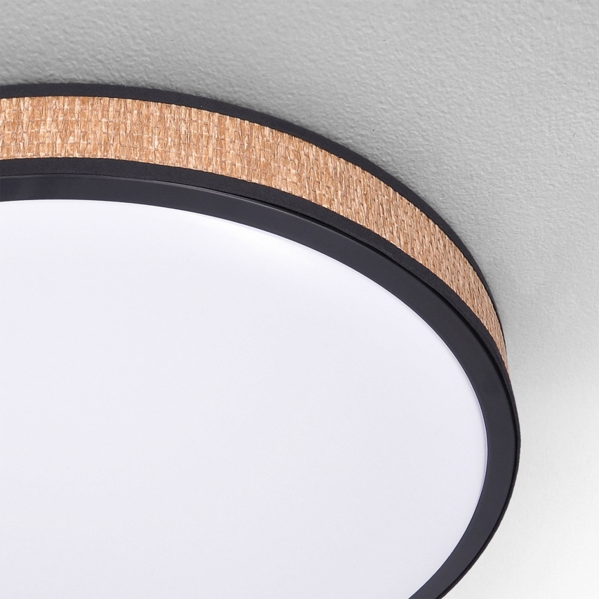 Brilagi - LED reguliuojamas lubų šviestuvas ROSA LED/48W/230V 3000-6500K skersmuo 38 cm + nuotolinio valdymo pultas