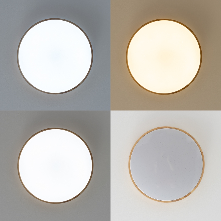 Brilagi - LED dimeriuojamas lubinis šviestuvas PINE LED/24W/230V skersmuo 42 cm 3000-6500K + nuotolinis valdymas