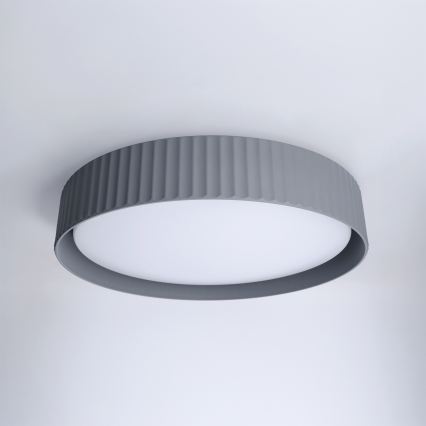Brilagi - LUCIA LED lubų šviestuvas su reguliuojamu ryškumu LED/48W/230V 3000-6500K skersmuo 41 cm pilkas + nuotolinis valdymas