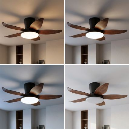 Brilagi - reguliuojamas LED lubų ventiliatorius LED/32W/230V 3000-6500K skersmuo 95 cm juodas/rudas + nuotolinis valdymas