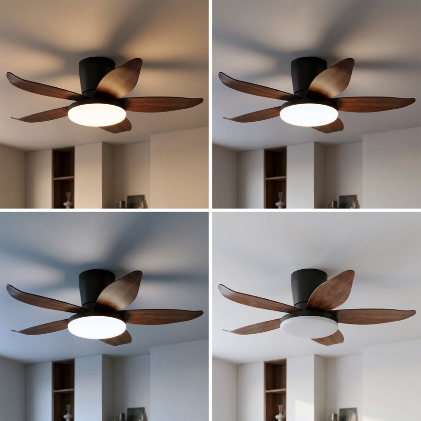 Brilagi - reguliuojamas LED lubų ventiliatorius LED/32W/230V 3000-6500K skersmuo 95 cm juodas/rudas + nuotolinis valdymas