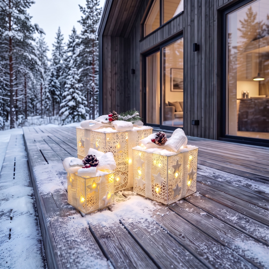 BRILAGI - RINKINYS 3x LED Lauko kalėdinė dekoracija LED/230V IP44 dovanos