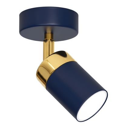 Brilagi - Sieninis akcentinis šviestuvas POKER 1xGU10/25W/230V mėlyna/auksas
