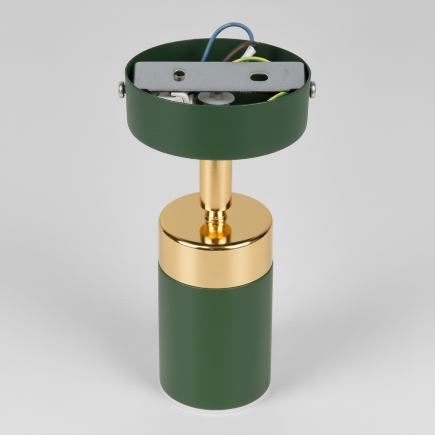 Brilagi - Sieninis akcentinis šviestuvas POKER 1xGU10/25W/230V žalia/auksas